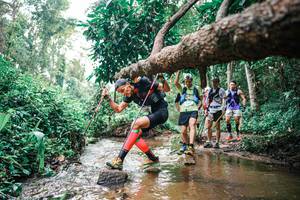 BIB: 
                            <button type="button" onclick="openModal(25368687)" class="btn btn-primary btn-sm float-right btn-popup" data-toggle="modal" data-target=".modal-high-quality">
                        <i class="fas fa-shopping-cart"></i> Add to Cart
                    </button>
                                            <button type="button" onclick="isThisMe(25368687, true)" class="btn btn-success btn-sm float-right btn-popup btn-isme hidden" data-toggle="tooltip" data-placement="bottom" title="นี่คือรูปของคุณใช่ไหม คลิกที่นี่เพื่อเอาเข้าอัลบั้ม">
                        <i class="fas fa-plus"></i> Add to album
                    </button>
                    <button type="button" onclick="isThisMe(25368687, false)" class="btn btn-warning btn-sm float-right btn-popup btn-isnotme hidden">
                        <i class="fas fa-ban"></i> Remove from album
                    </button>